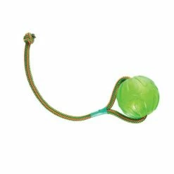 Swing 'n Fling Chewball Starmark