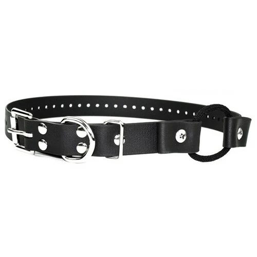 Ecollar Bungee Strap 1 Inch Wide Buckle 3 Ecollar Bungee Strap 1 Inch Wide Buckle