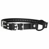 Ecollar Bungee Strap Buckle 3/4 Wide -Supplements Shop bungee1500 500x500 2