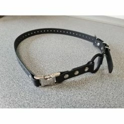 Ecollar Bungee Strap 1 Inch Wide With Quick Snap