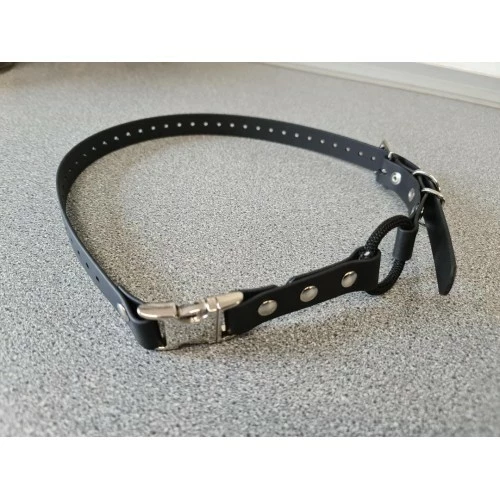 Ecollar Bungee Strap 1 Inch Wide With Quick Snap 3 Ecollar Bungee Strap 1 Inch Wide With Quick Snap