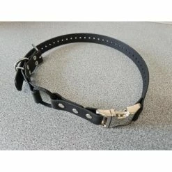 Ecollar Bungee Strap 3/4 Inch Wide With Quick Snap