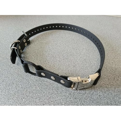 Ecollar Bungee Strap 3/4 Inch Wide With Quick Snap 3 Ecollar Bungee Strap 3/4 Inch Wide With Quick Snap