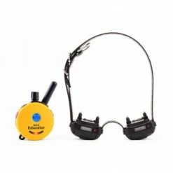 Ecollar ET 300 Plus