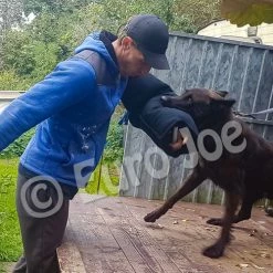 Euro Joe Sleeve N°6 For Very Hard Biters (for The "crocodiles" 8 Euro Joe Sleeve N°6 For Very Hard Biters (for The "crocodiles" -Supplements Shop mouw nylcot nr6 04 500x500 1