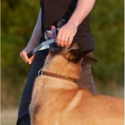 Supplements Shop -Supplements Shop position20stick.jpg20.jpg2 500x500 1