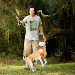 Squishy Face Flirt Poles Squish Face V2 -Supplements Shop squish20face2036202 500x500 1