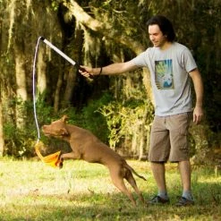 Squishy Face Flirt Poles Squish Face V2 -Supplements Shop squish20face20363 500x500 1