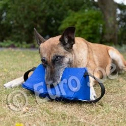 Raddog Triangle Bite Pad -Supplements Shop triangle4 500x500 1