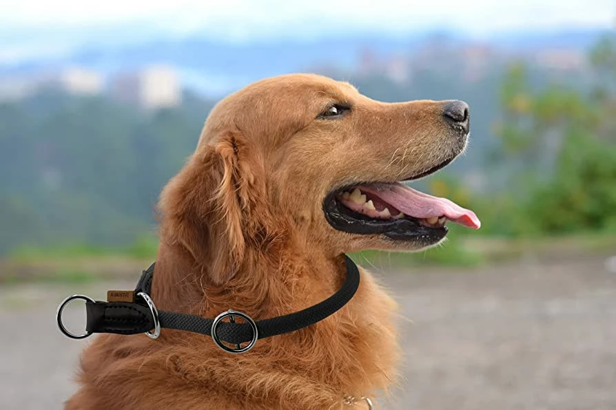 Supplements Shop -Supplements Shop 81UNpiwyML. AC UF8941000 QL80