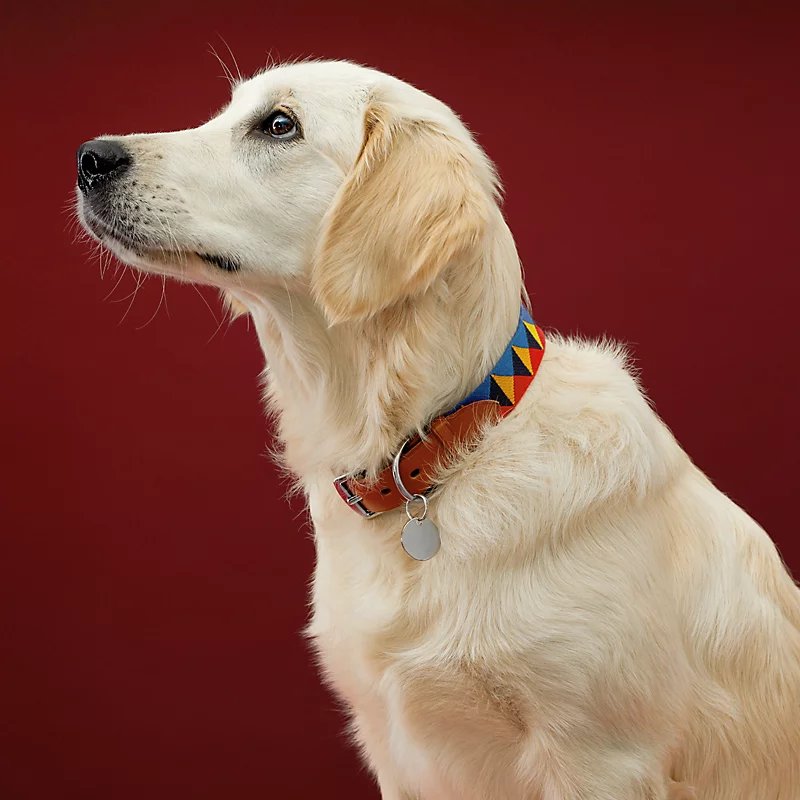 Supplements Shop -Supplements Shop medor dog collar 079813CJ3O worn 3 0 0 800 800 g 1